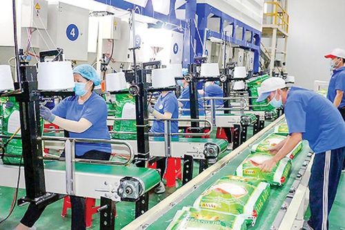 Đưa hàng Việt thâm nhập sâu vào EU: Còn phải vượt nhiều rào cản