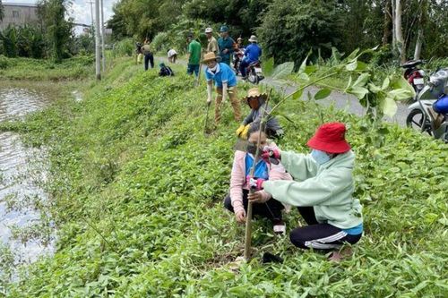 Bình Long lặp lại trật tự lòng, lề đường, vỉa hè