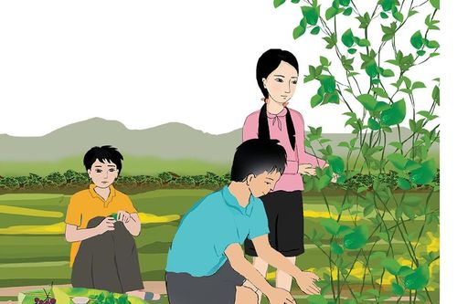 Ký ức lá giang