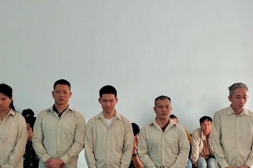 Lãnh án vì tổ chức cho người khác trốn ở lại nước ngoài trái phép