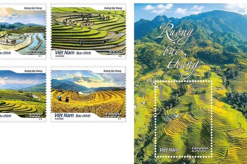 Phát hành bộ tem 'Ruộng bậc thang'