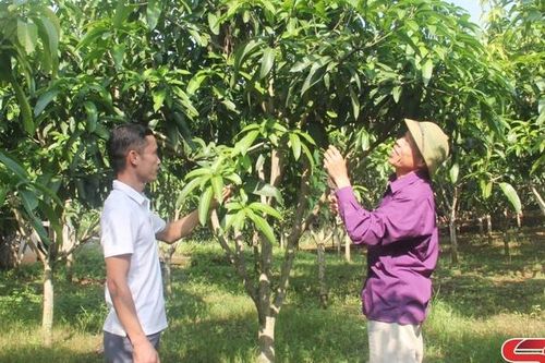 Thực hiện khâu đột phá trong học và làm theo Bác