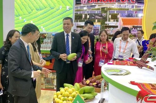 Sơn La tham gia Hội chợ Trung Quốc - ASEAN lần thứ 20