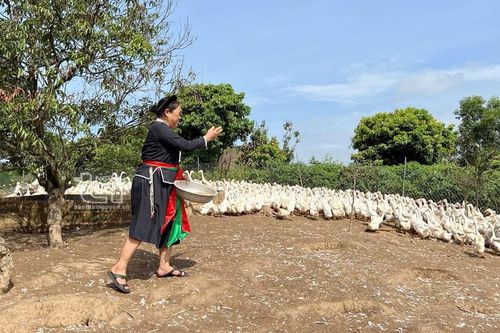 Người Sán Dìu ở Bờ Suối thay đổi tư duy sản xuất