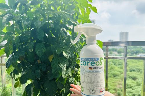 5 ưu điểm vượt trội khi sử dụng nước lau bếp Careox