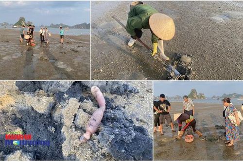 Cận cảnh những khu vực bờ biển Quảng Ninh xuất hiện đất đá thải mỏ (Bài 2)