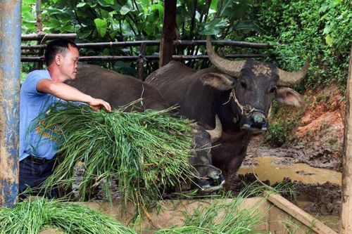 Khi 'cơn bão' đi qua