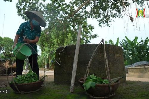 Mát trong giếng làng