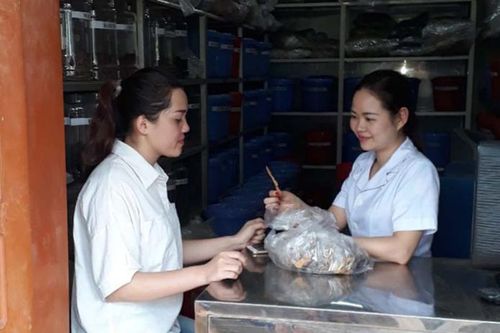 Hòa Bình: Kế thừa vốn quý của y học cổ truyền trong chăm sóc sức khỏe nhân dân