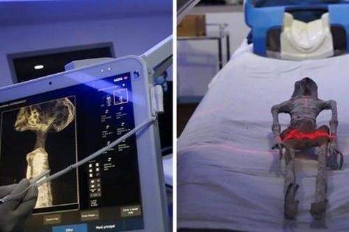 Kiểm tra hóa thạch của 'người hành tinh khác' ở Mexico, bác sĩ kết luận thế nào?