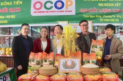 Nâng giá trị cho gạo Khu Cháy