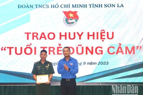 Tặng Huy hiệu 'Tuổi trẻ dũng cảm' cho đại úy biên phòng cứu người