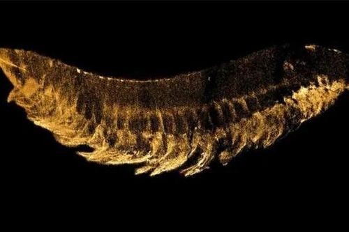 Phát hiện 'quái thú' 520 triệu tuổi 3 mắt 10 chân: Chấn động lịch sử!