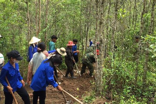 Đoàn thanh niên giúp dân sửa cầu treo