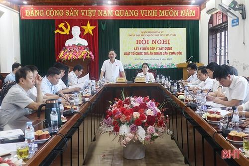 Đoàn ĐBQH Hà Tĩnh lấy ý kiến góp ý dự thảo Luật Tổ chức tòa án nhân dân (sửa đổi)