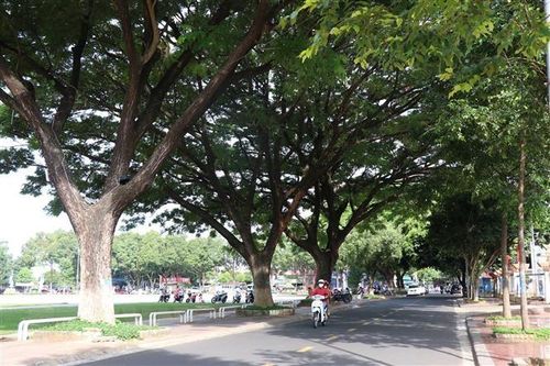 Ưu tiên ba nhiệm vụ chính để phát triển vùng Tây Nguyên