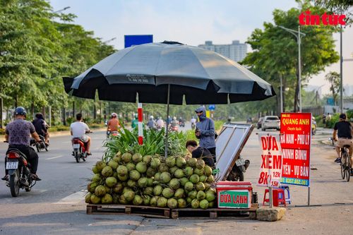 Đại lộ nghìn tỷ Hà Nội thành 'chợ' hoa quả di động