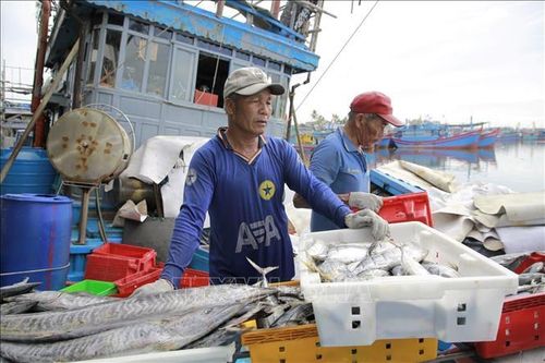Nhiên liệu tăng giá, thiếu bạn thuyền, ngư dân lo lắng