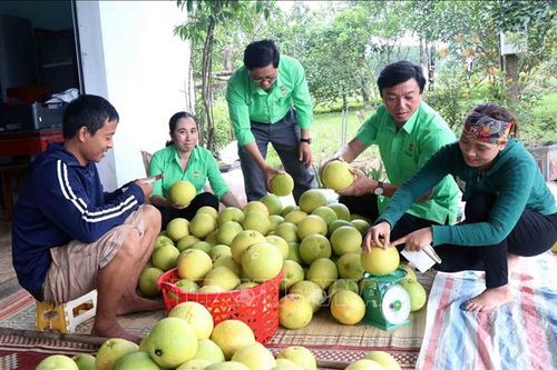Hà Tĩnh: Nhiều công trình, phần việc ý nghĩa hỗ trợ nông dân