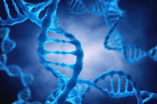 Google phát triển công cụ AI giúp dự đoán nguy cơ đột biến gene