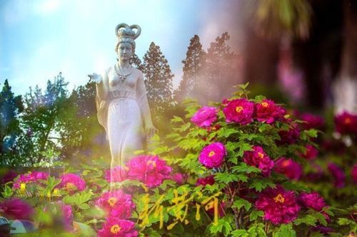 Dân mạng sốc với bức tượng tiên nữ trị giá 11.000 USD trong khu danh lam thắng cảnh