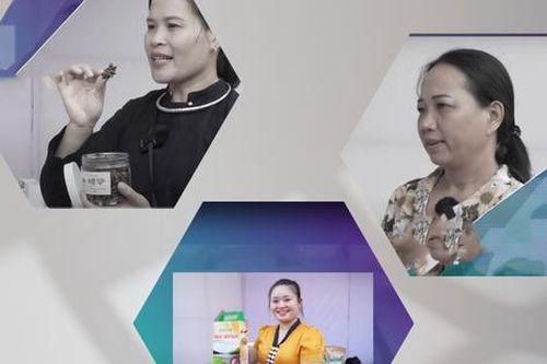 Đón xem livestream Mua tận gốc Giới thiệu sản phẩm của phụ nữ khởi nghiệp khu vực miền Bắc