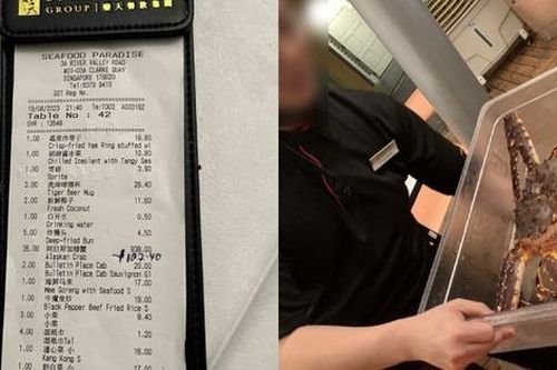 Du khách Nhật Bản choáng váng khi nhận hóa đơn một con cua, đòi gọi bằng được cảnh sát đến