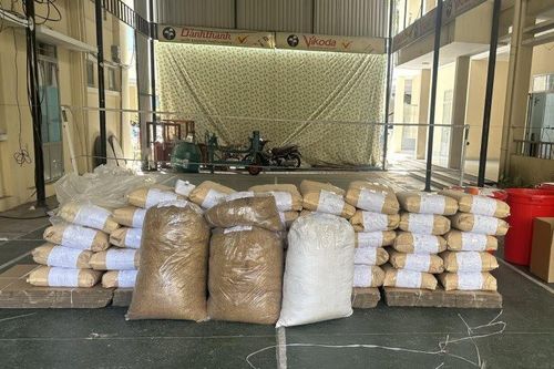 'Chế biến' gần 7 tạ thảo dược, nghi cỏ Mỹ tại nhà