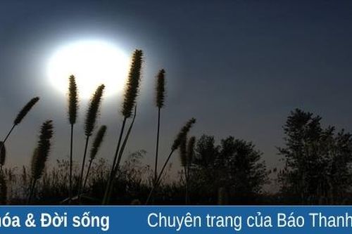 Trăng nghiêng miền nhớ
