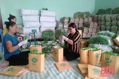 Xã Thăng Long phát triển ngành nghề, nâng cao thu nhập cho người dân