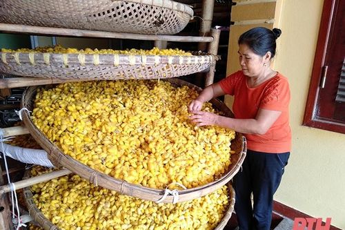Nâng cao sức cạnh tranh, phát triển bền vững các làng nghề