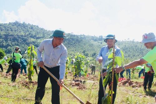 Trồng 2.000 cây xanh tại huyện Ia Pa