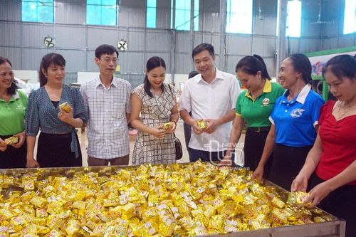 Liên kết sản xuất: 'Chìa khóa' phát triển nông nghiệp bền vững