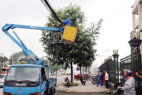 Sắp xếp, chỉnh trang các tuyến cáp viễn thông