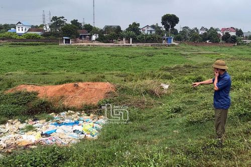Cần xử lý nghiêm hành vi vứt xác động vật ra môi trường
