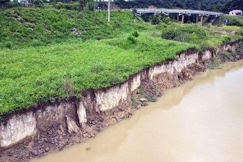 Đắk Lắk: Yêu cầu dừng hoạt động khai thác cát 2 doanh nghiệp trên sông Krông Ana