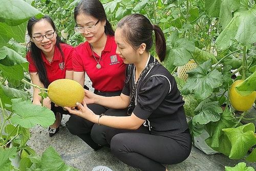 Agribank hỗ trợ đắc lực cho phát triển nông sản sạch, nông sản đạt tiêu chuẩn OCOP