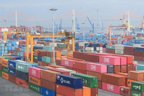 HHN và VLA bị phạt hàng trăm triệu do vi phạm hành chính về thuế