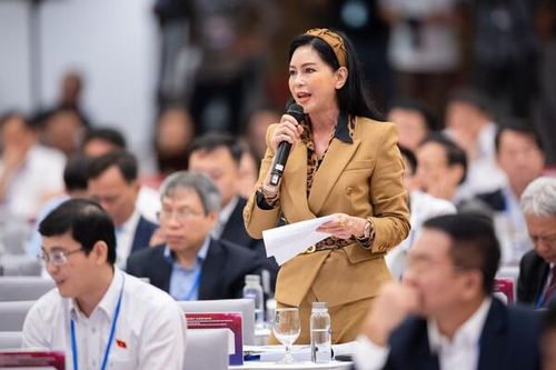Nữ doanh nhân phản hồi về quan điểm 'doanh nghiệp Việt sống dai nhưng chậm lớn'
