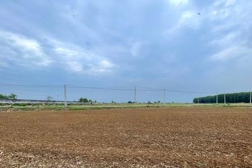 Bà Rịa Vũng Tàu ra quy định mới về điều kiện tách, hợp thửa đất