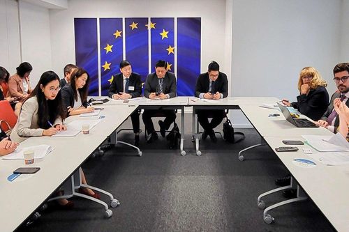 Đưa Việt Nam thành hình mẫu thích ứng quy định chống phá rừng của EU