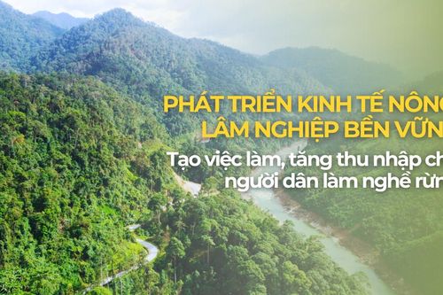 Hỗ trợ tạo việc làm, tăng thu nhập cho đồng bào dân tộc thiểu số làm nghề rừng