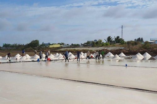 Tìm hướng phát triển cho nghề muối Bạc Liêu