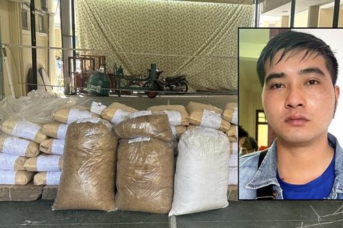 Đột kích 'xưởng' chế biến, thu giữ gần 7 tạ thảo dược nghi cỏ Mỹ