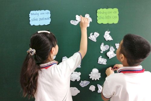 Sợ bị thầy cô 'đì', nhiều cha mẹ chi chục triệu mỗi tháng cho con học thêm
