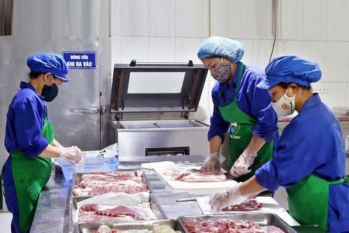 Hợp tác xã Hoàng Long với chuỗi thực phẩm A-Z