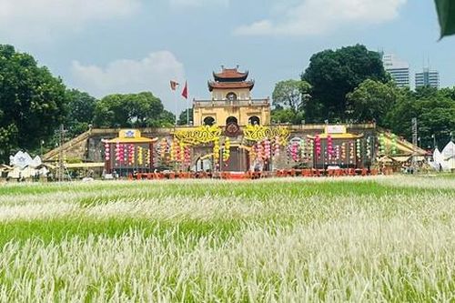 Hà Nội bày 'đặc sản' mùa thu đón khách