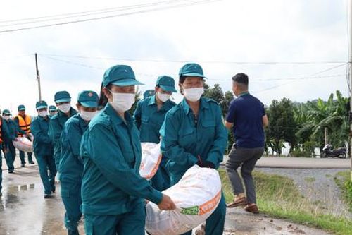 Hơn 100 người diễn tập xử lý sự cố đê điều ở huyện Ứng Hòa
