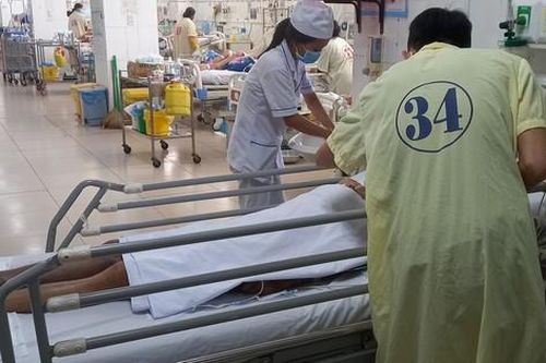 3 người ngộ độc, có 1 người tử vong do ăn cá nóc, bác sĩ cấp cứu khuyến cáo gì?