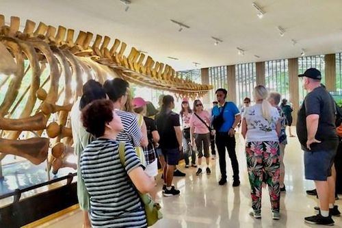 4308 du khách trên tàu SPECTRUM OF THE SEAS đến và thăm quan du lịch tại Nha Trang
